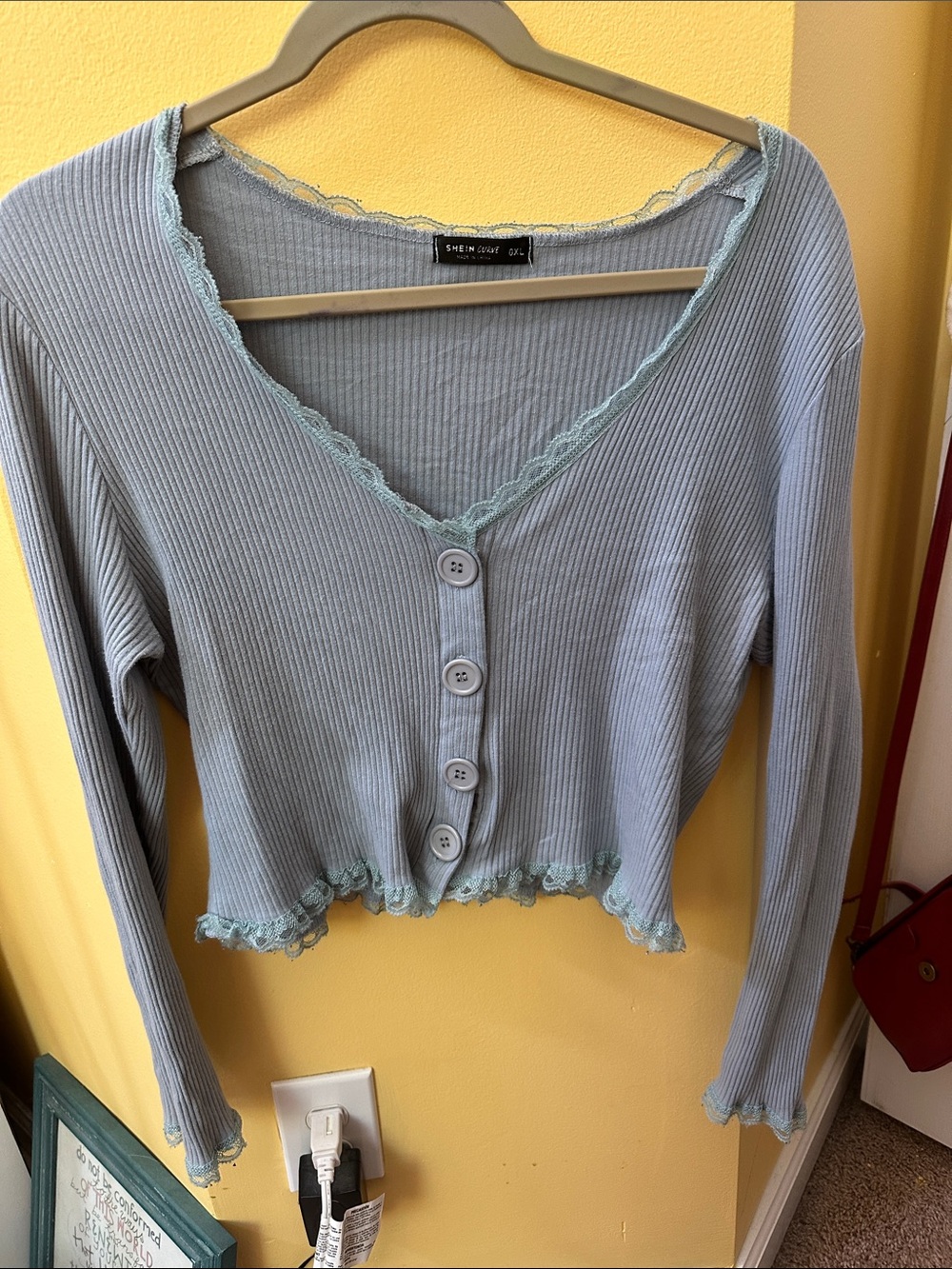 SHEIN Light Blue Ribbed Lace-Trim Button Front Long Sleeve Top